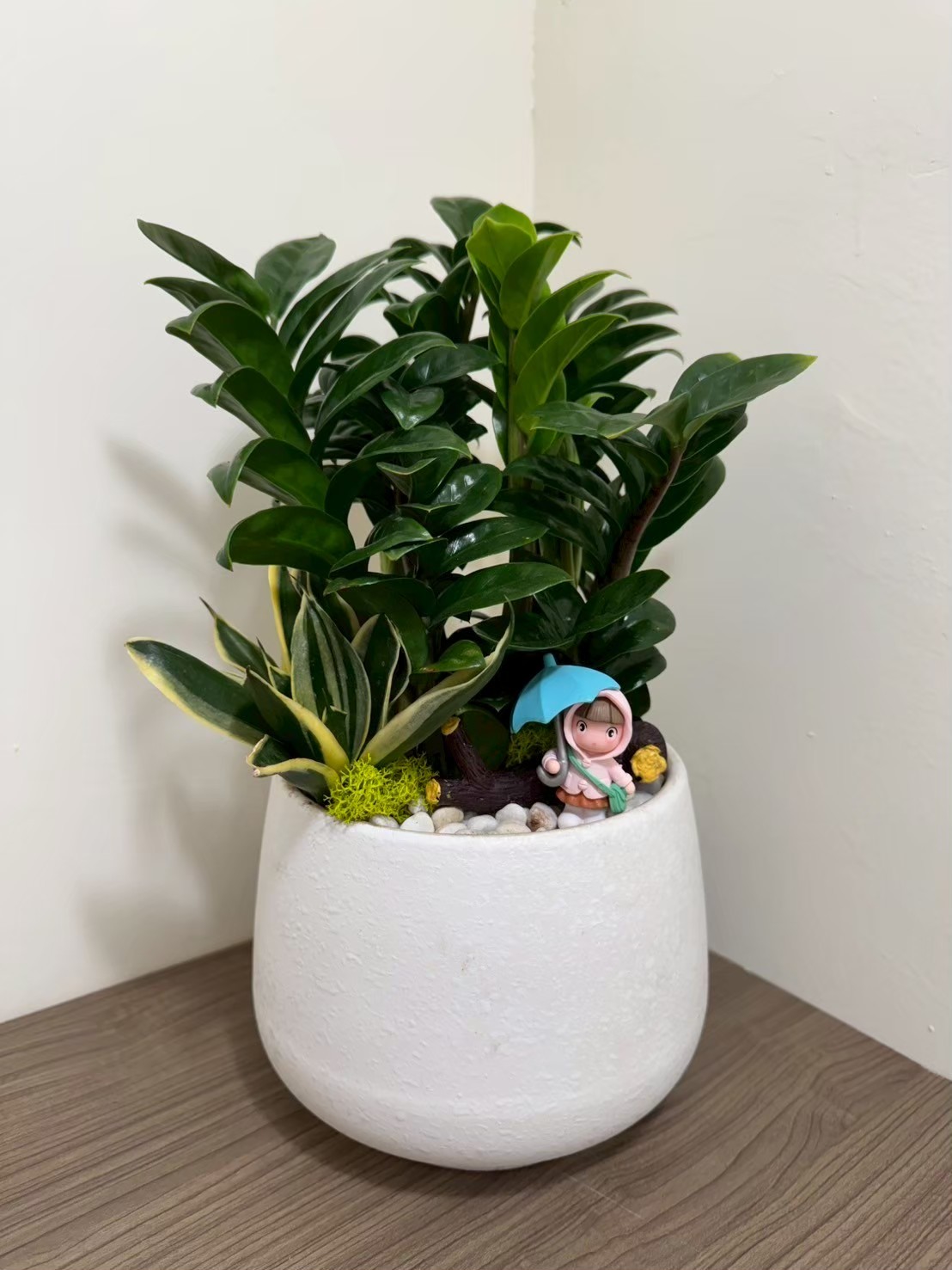 客制植栽作品4