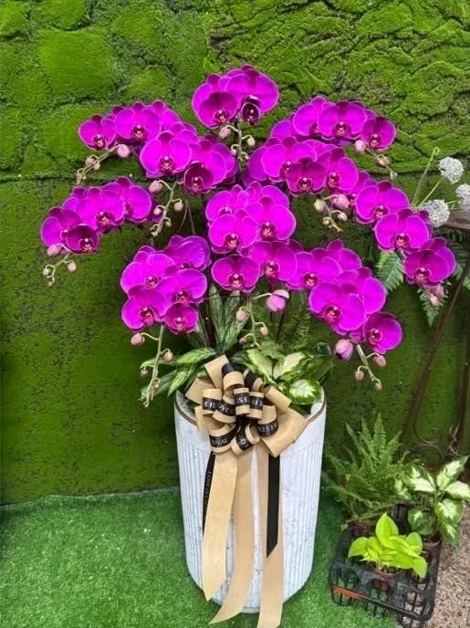 弔念禮花作品