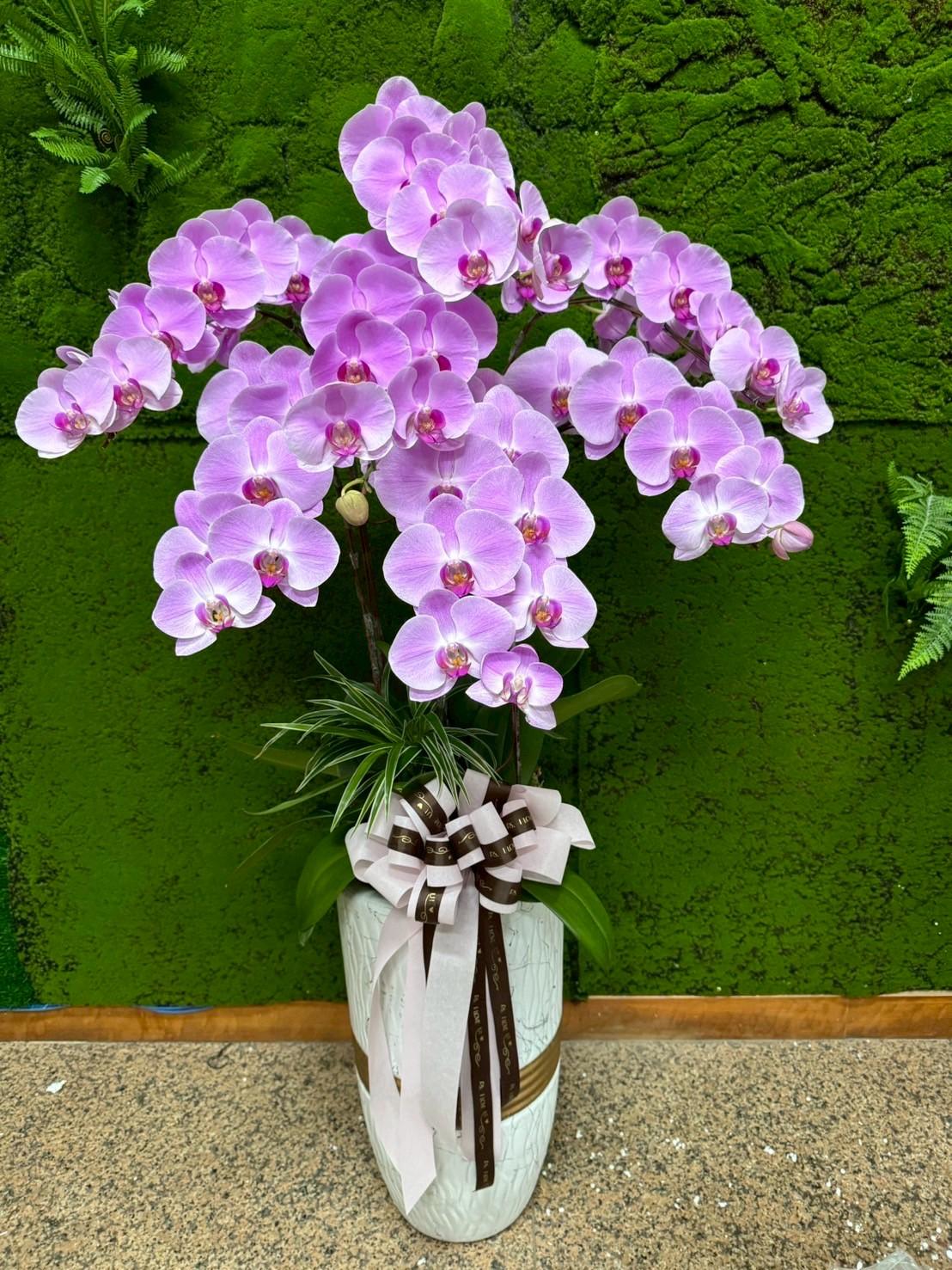 弔念禮花作品11