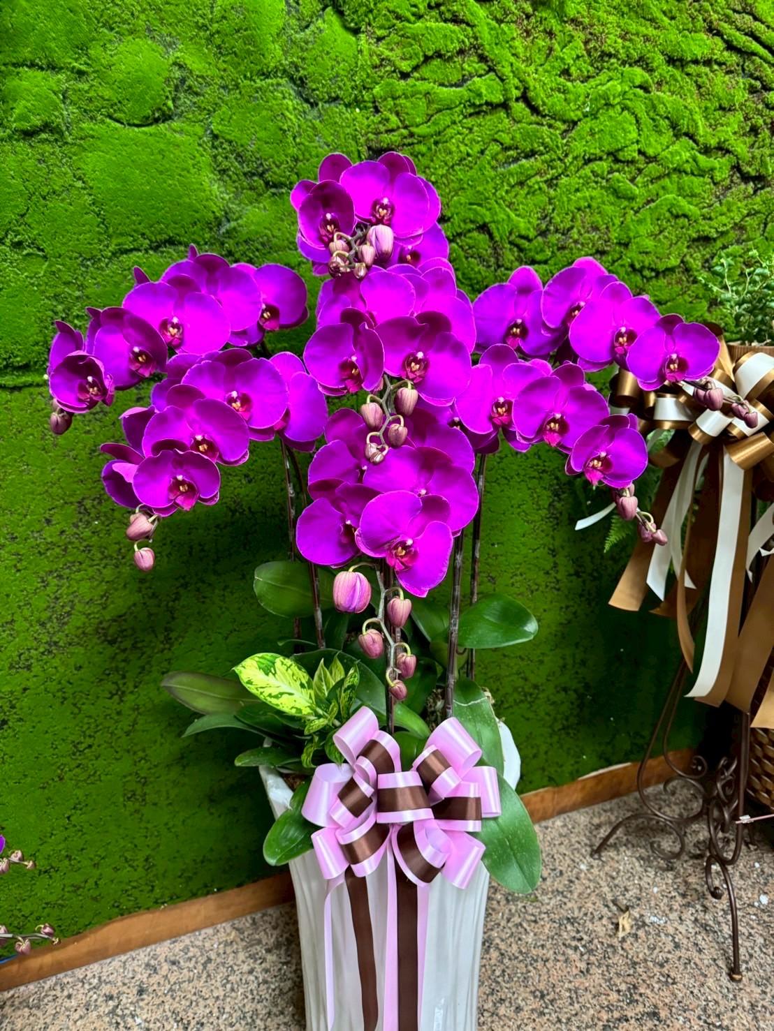 弔念禮花作品7
