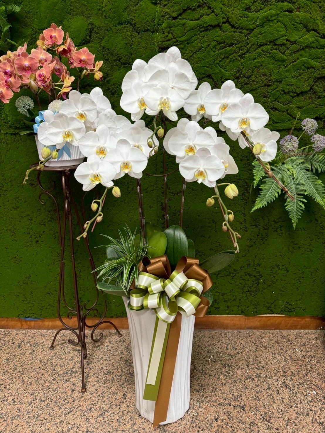 弔念禮花作品9