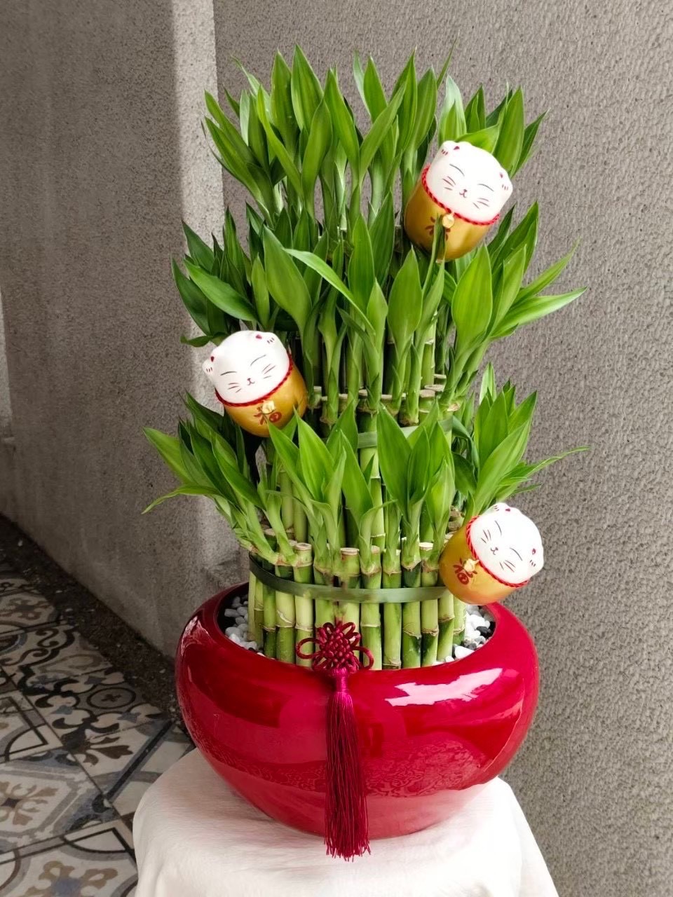 開幕植栽作品